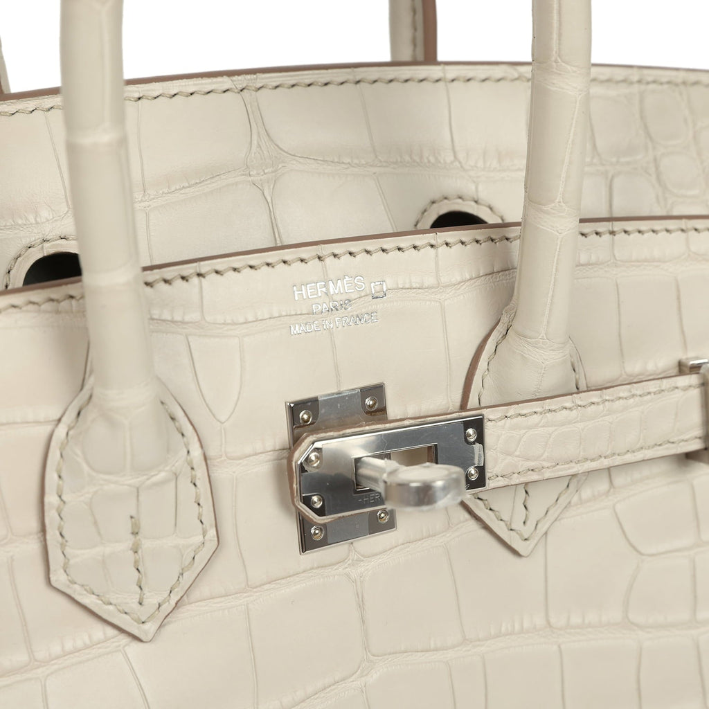 Hermes Birkin 25 Beton Matte Alligator Palladium Hardware