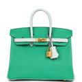 Hermes Special Order (HSS) Birkin 25 Bi-Color Menthe and Bleu Brume Chevre Mysore Brushed Gold Hardware