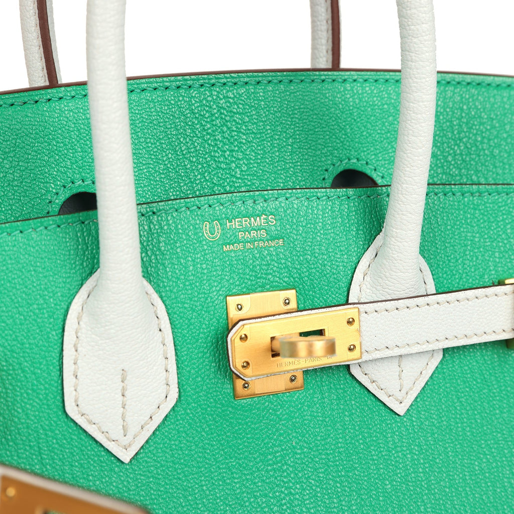 Hermes Special Order (HSS) Birkin 25 Bi-Color Menthe and Bleu Brume Chevre Mysore Brushed Gold Hardware