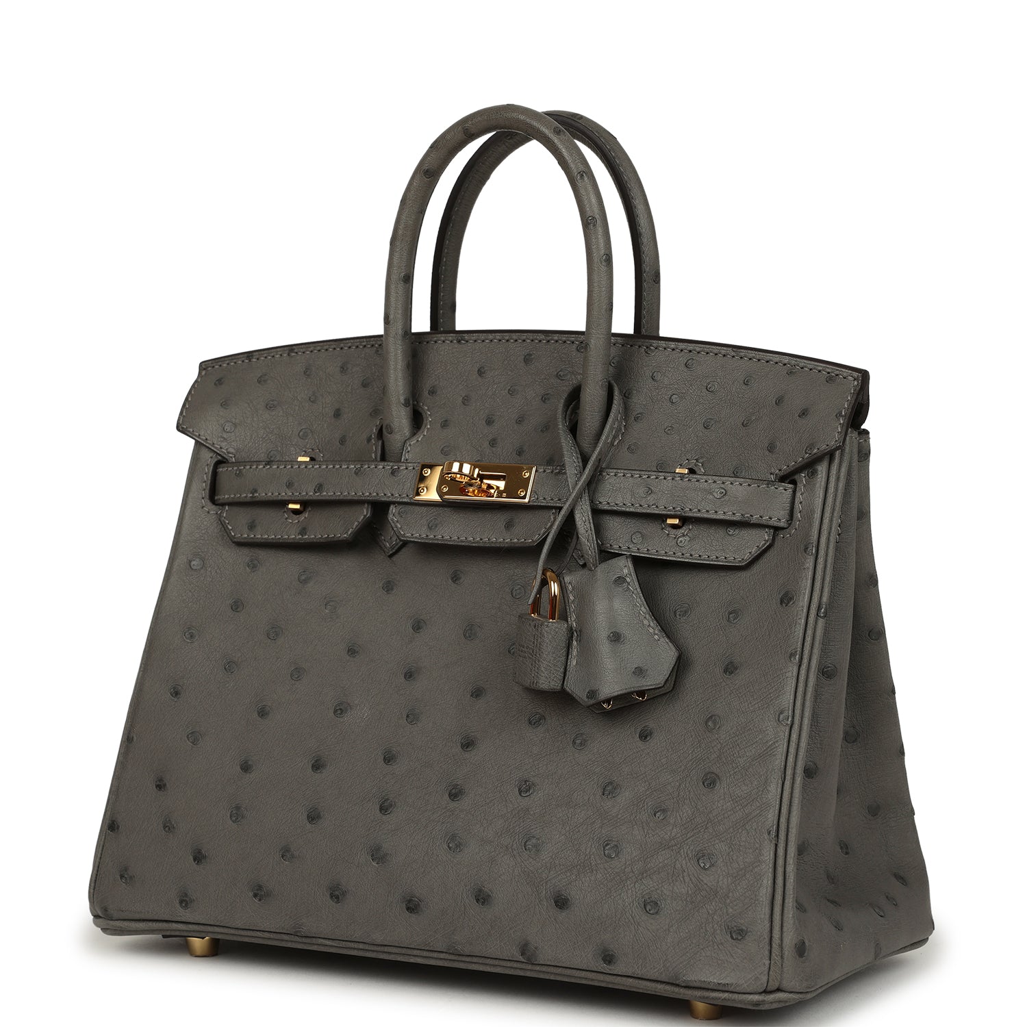 Pre-owned Hermes Birkin 25 Gris Meyer Ostrich Gold Hardware