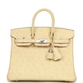 Hermes Birkin 25 Vanille Ostrich Palladium Hardware