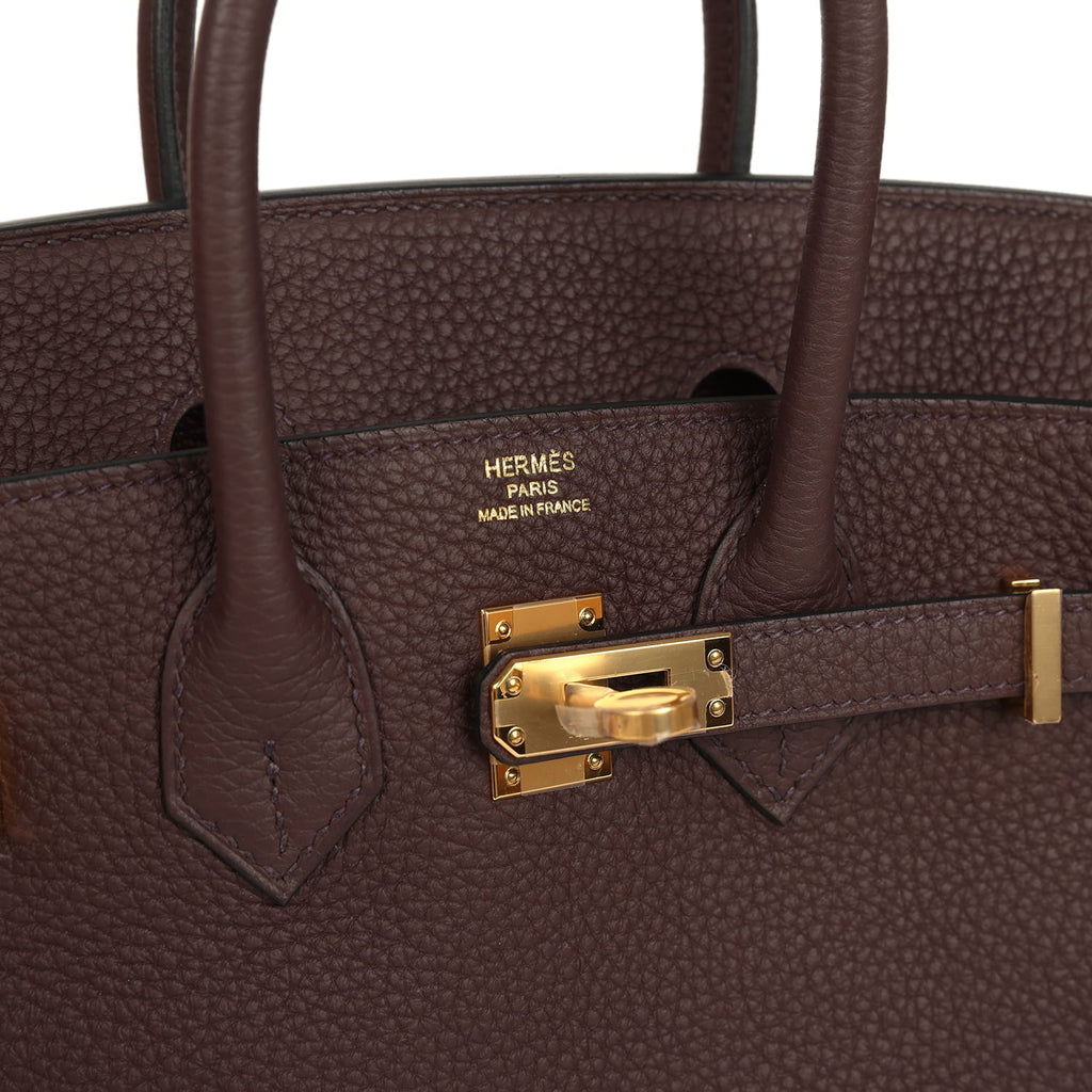 Hermes Birkin 25 Rouge Sellier Togo Gold Hardware