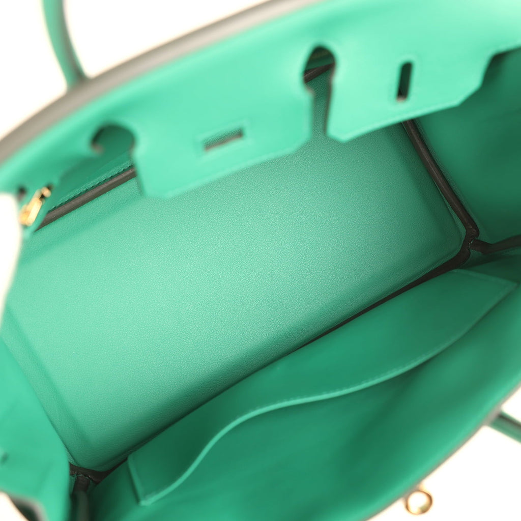 Hermes Birkin 25 Vert Vertigo Swift Gold Hardware