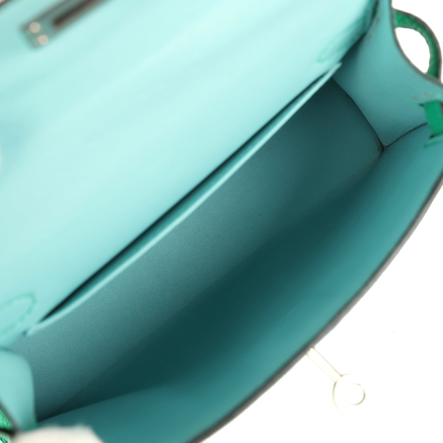 Pre-owned Hermes Kelly Sellier 20 Cactus Verso Chèvre Mysore Palladium Hardware