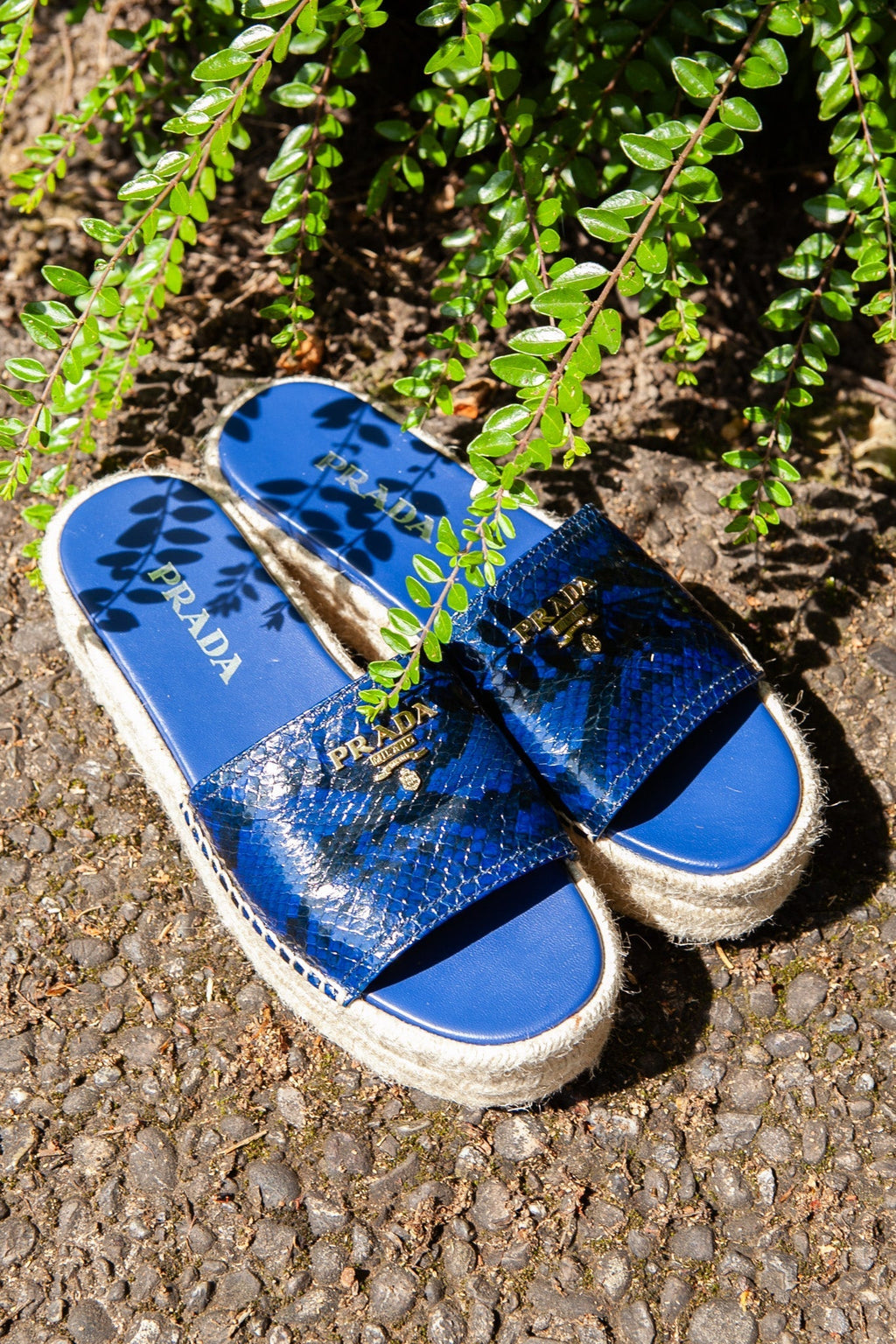PRADA Platform Espadrille Sandals Python Print Blue