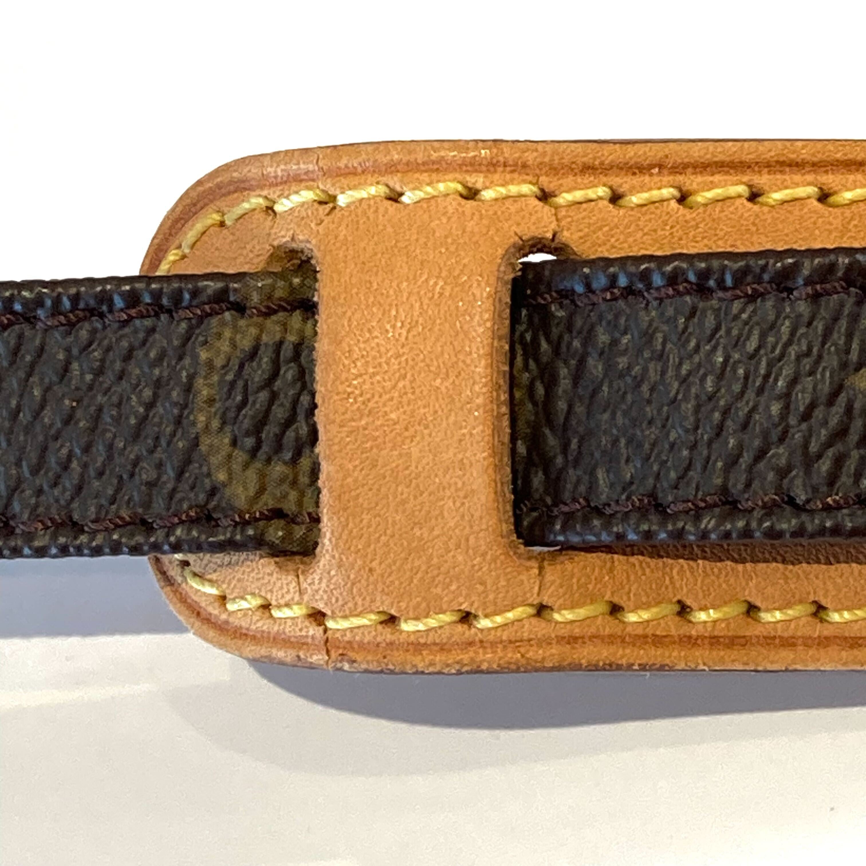 Louis Vuitton 2010 Monogram Danube Shoulder Bag M45266