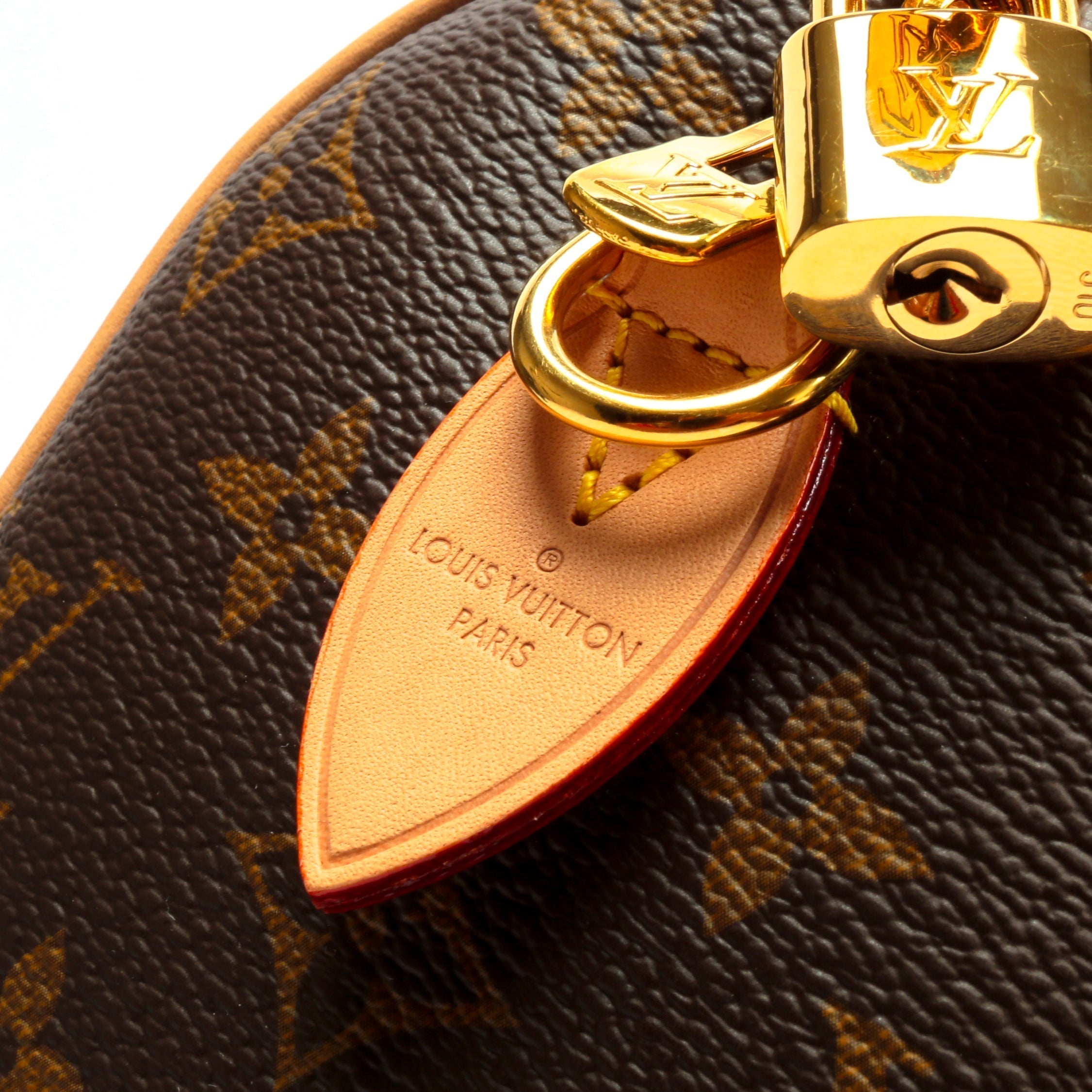 LOUIS VUITTON Monogram Speedy Bandouliere 20