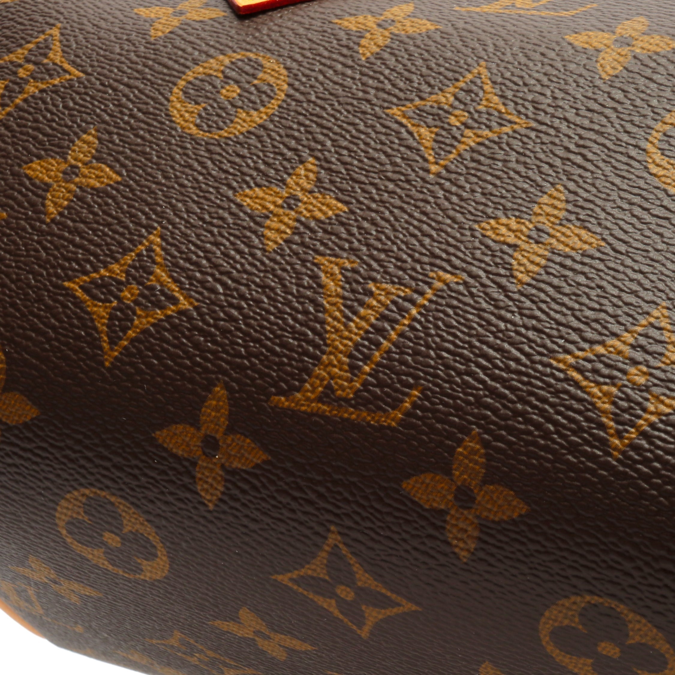 LOUIS VUITTON Monogram Speedy Bandouliere 20