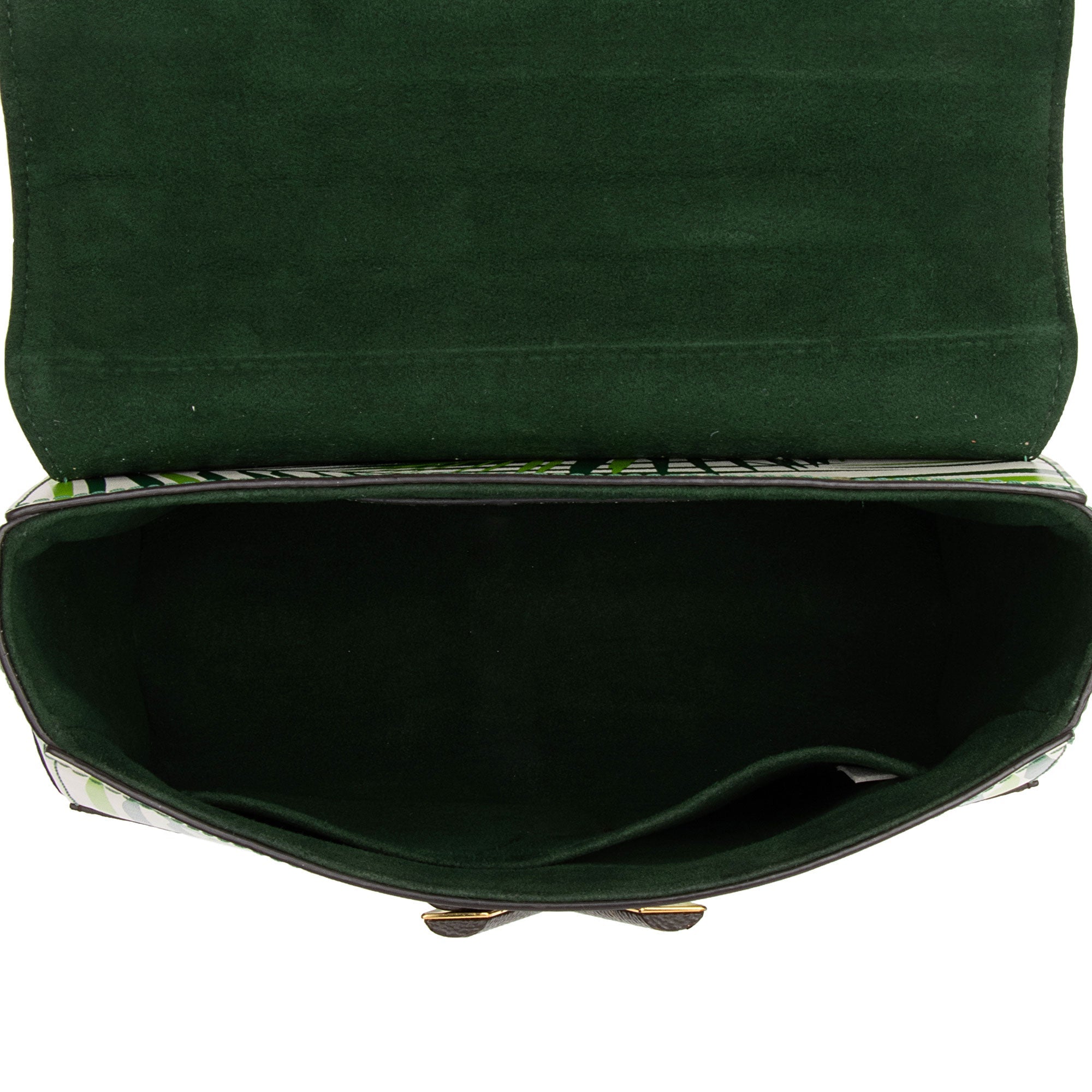 Louis Vuitton Coated Canvas Palm Twist MM Shoulder Bag (SHF-JaIdPa)
