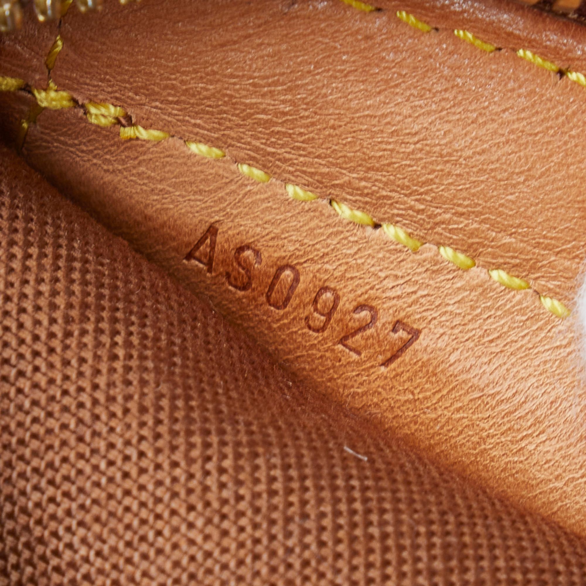 Louis Vuitton Damier Ebene Columbine (SHG-knV5U7)