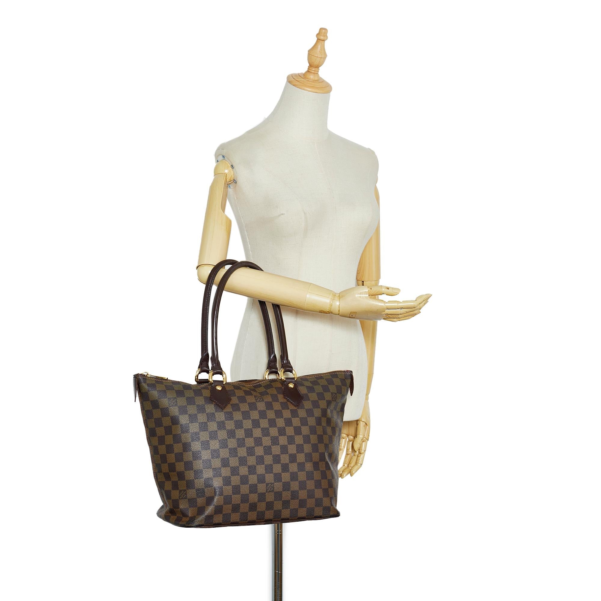 Louis Vuitton Damier Ebene Saleya MM (SHG-aP5CB5)