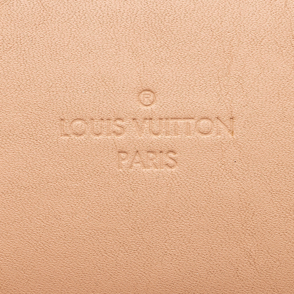 Louis Vuitton Damier Ebene Santa Monica Shoulder Bag (SHF-xbOCN7)