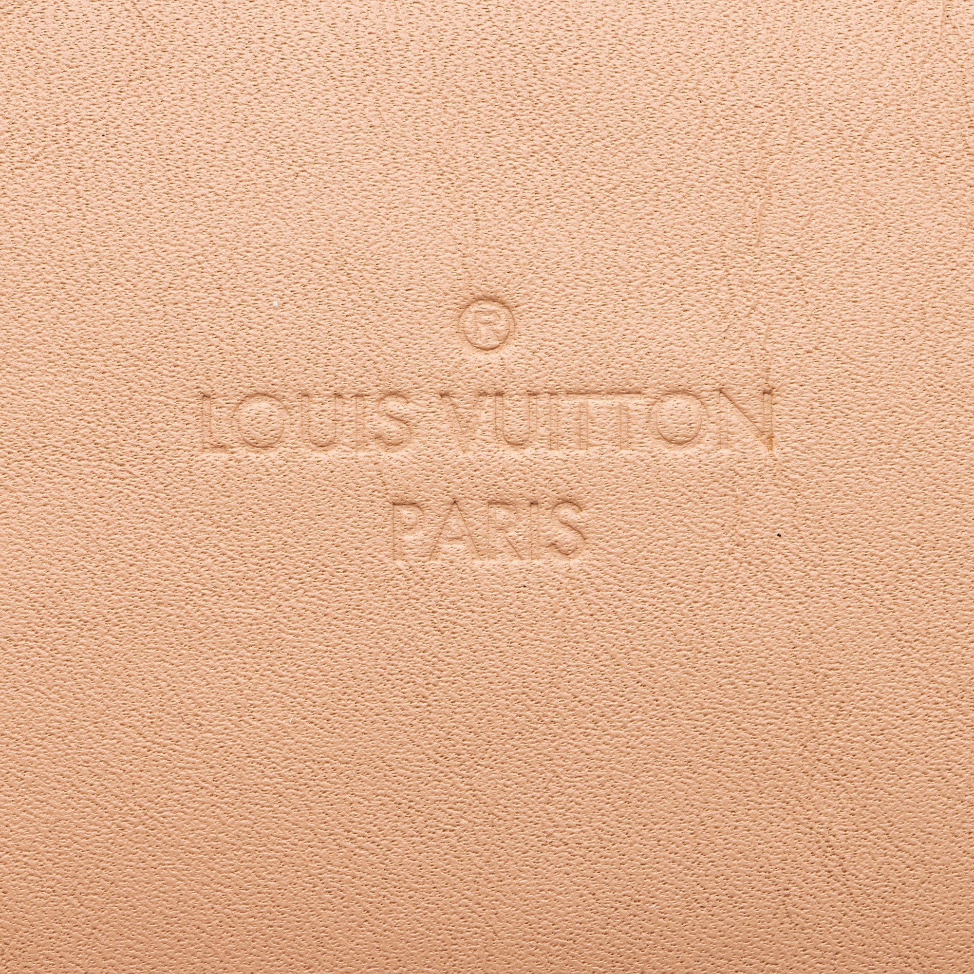 Louis Vuitton Damier Ebene Santa Monica Shoulder Bag (SHF-xbOCN7)