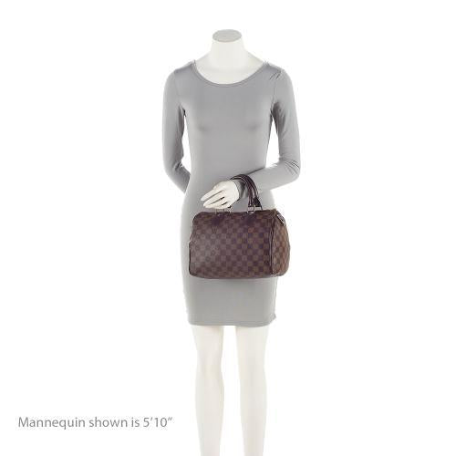 Louis Vuitton Damier Ebene Speedy 25 Satchel (SHF-dRJuLg)