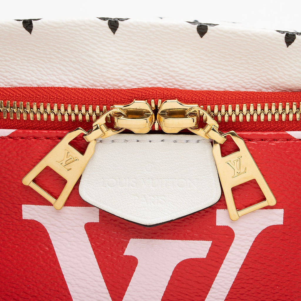 Louis Vuitton Giant Monogram Canvas Bumbag (SHF-22487)