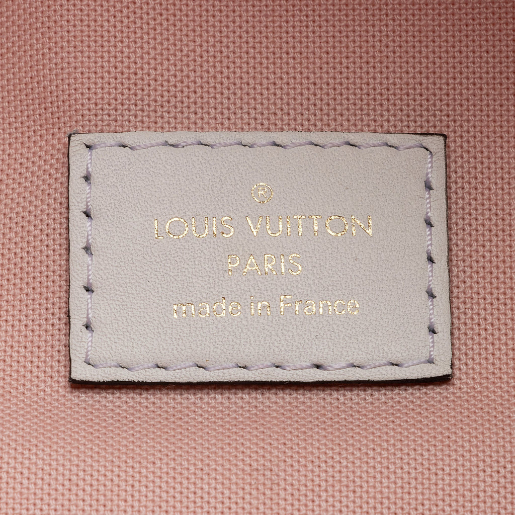 Louis Vuitton Giant Monogram Canvas Bumbag (SHF-22487)