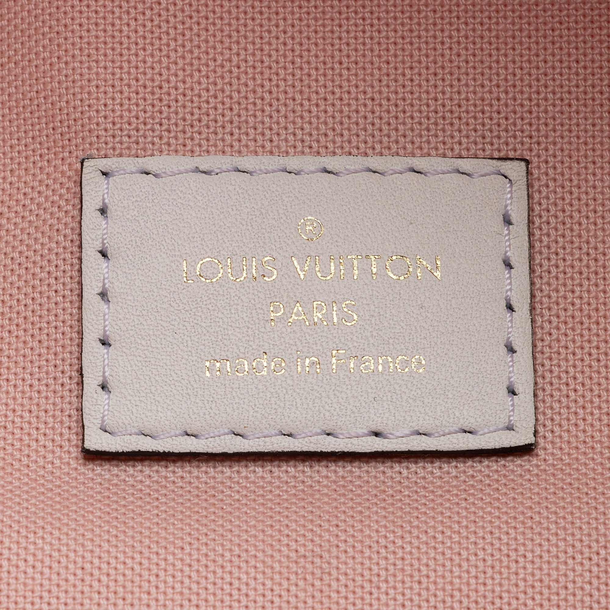 Louis Vuitton Giant Monogram Canvas Bumbag (SHF-22487)
