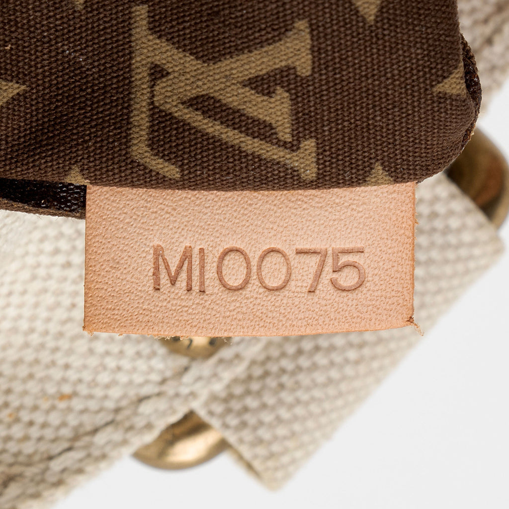 Louis Vuitton Limited Edition Globe Trotter Cabas PM Tote (SHF-gNjlII)