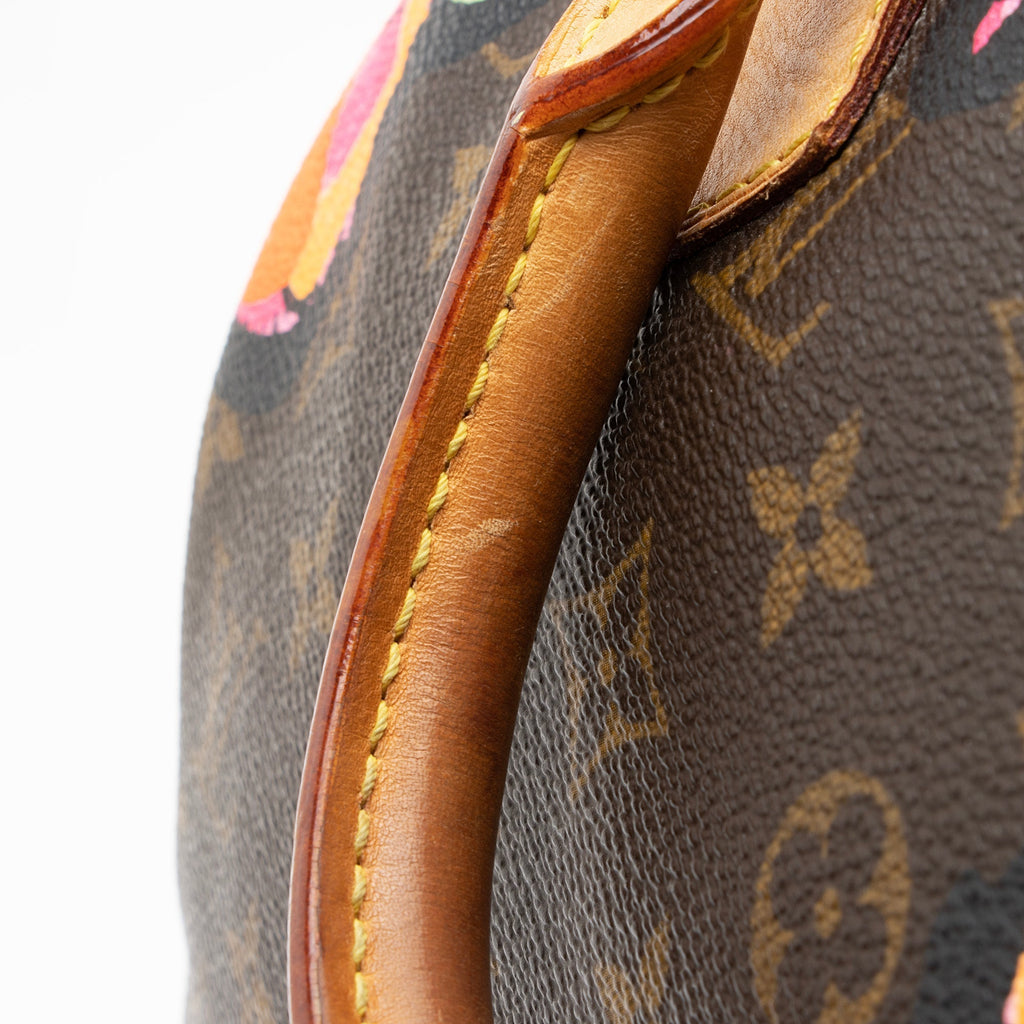 Louis Vuitton Limited Edition Monogram Canvas Roses Speedy 30 Satchel (SHF-22996)