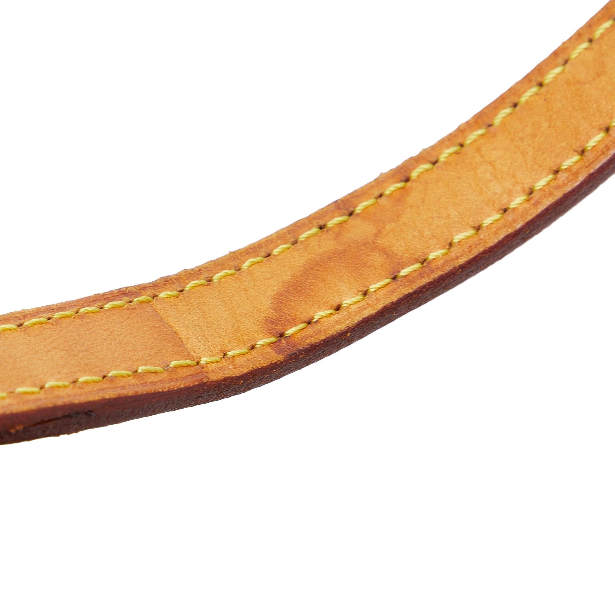 Louis Vuitton Monogram Blois