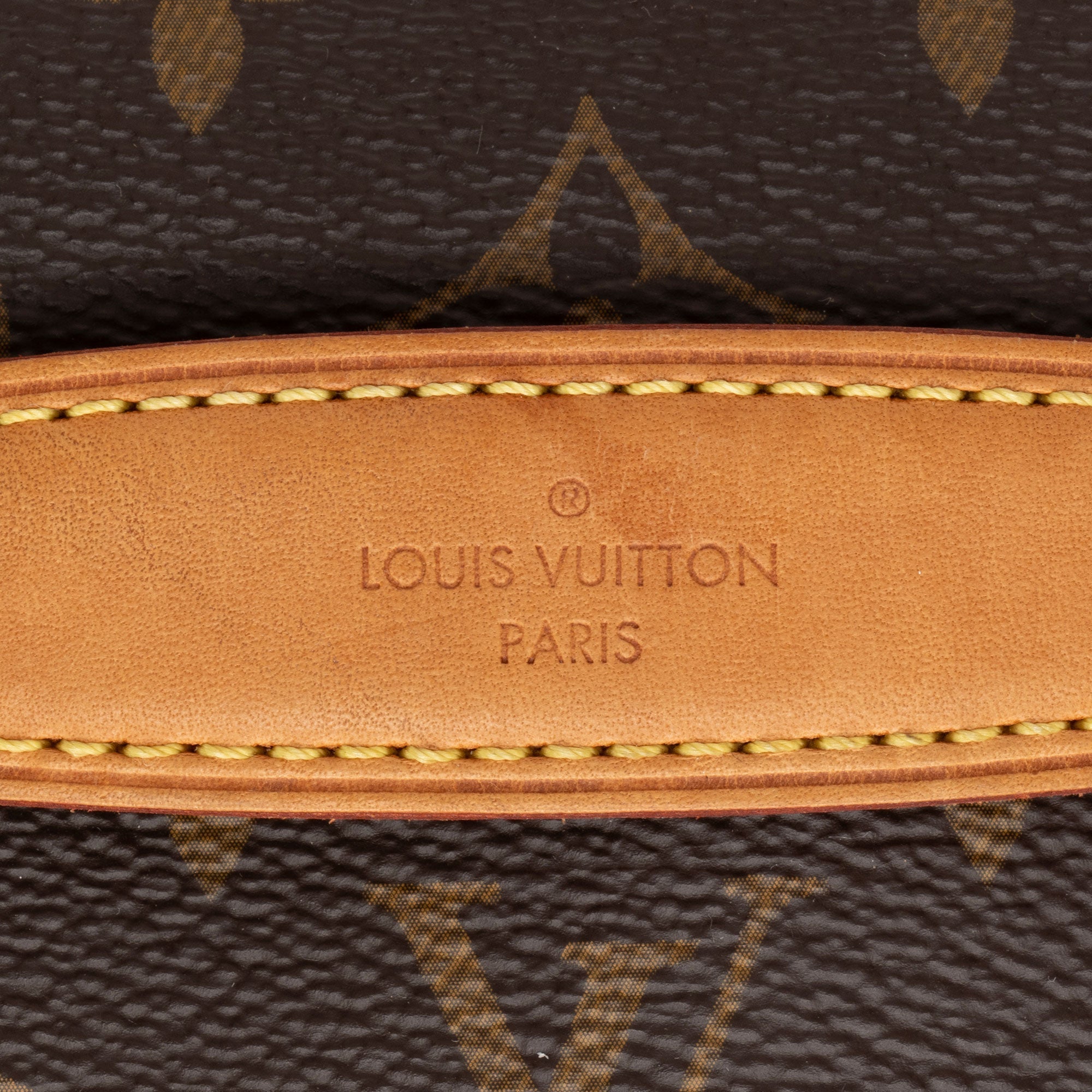 Louis Vuitton Monogram Canvas BumBag (SHF-C5Iztc)