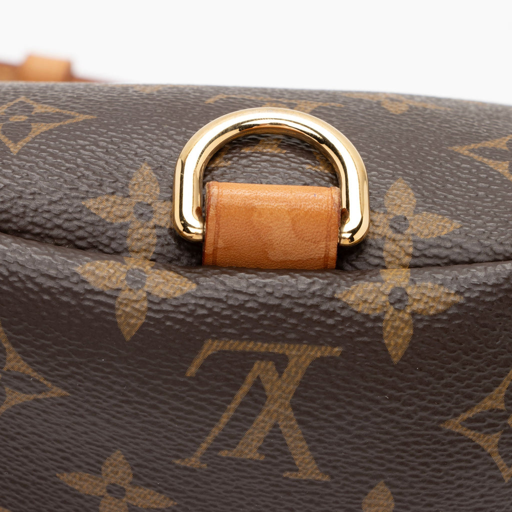 Louis Vuitton Monogram Canvas BumBag (SHF-C5Iztc)