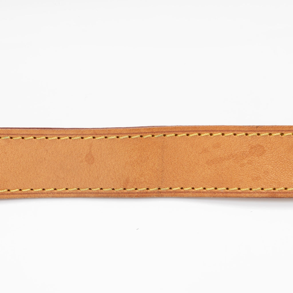 Louis Vuitton Monogram Canvas BumBag (SHF-C5Iztc)