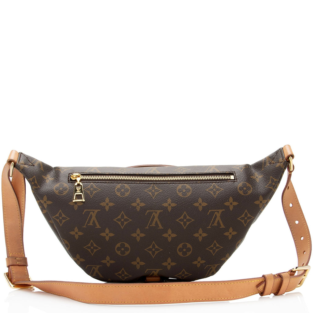 Louis Vuitton Monogram Canvas Bumbag (SHF-jnv8ax)