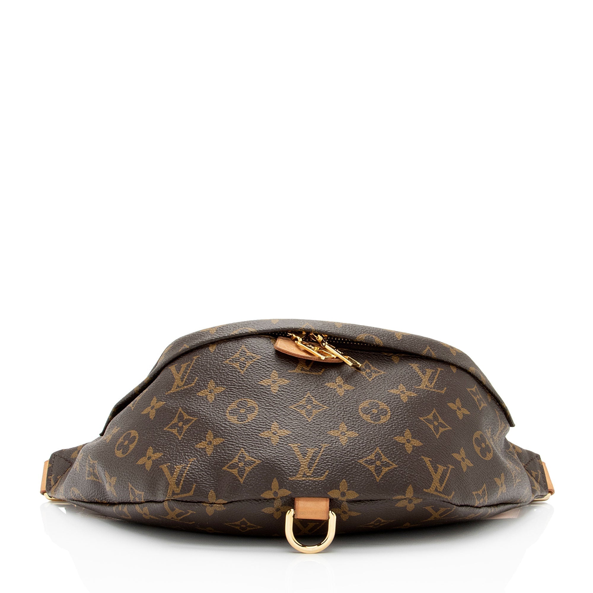 Louis Vuitton Monogram Canvas Bumbag (SHF-jnv8ax)