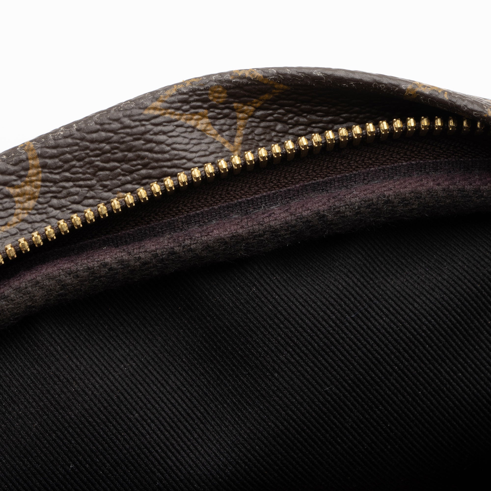 Louis Vuitton Monogram Canvas Bumbag (SHF-jnv8ax)