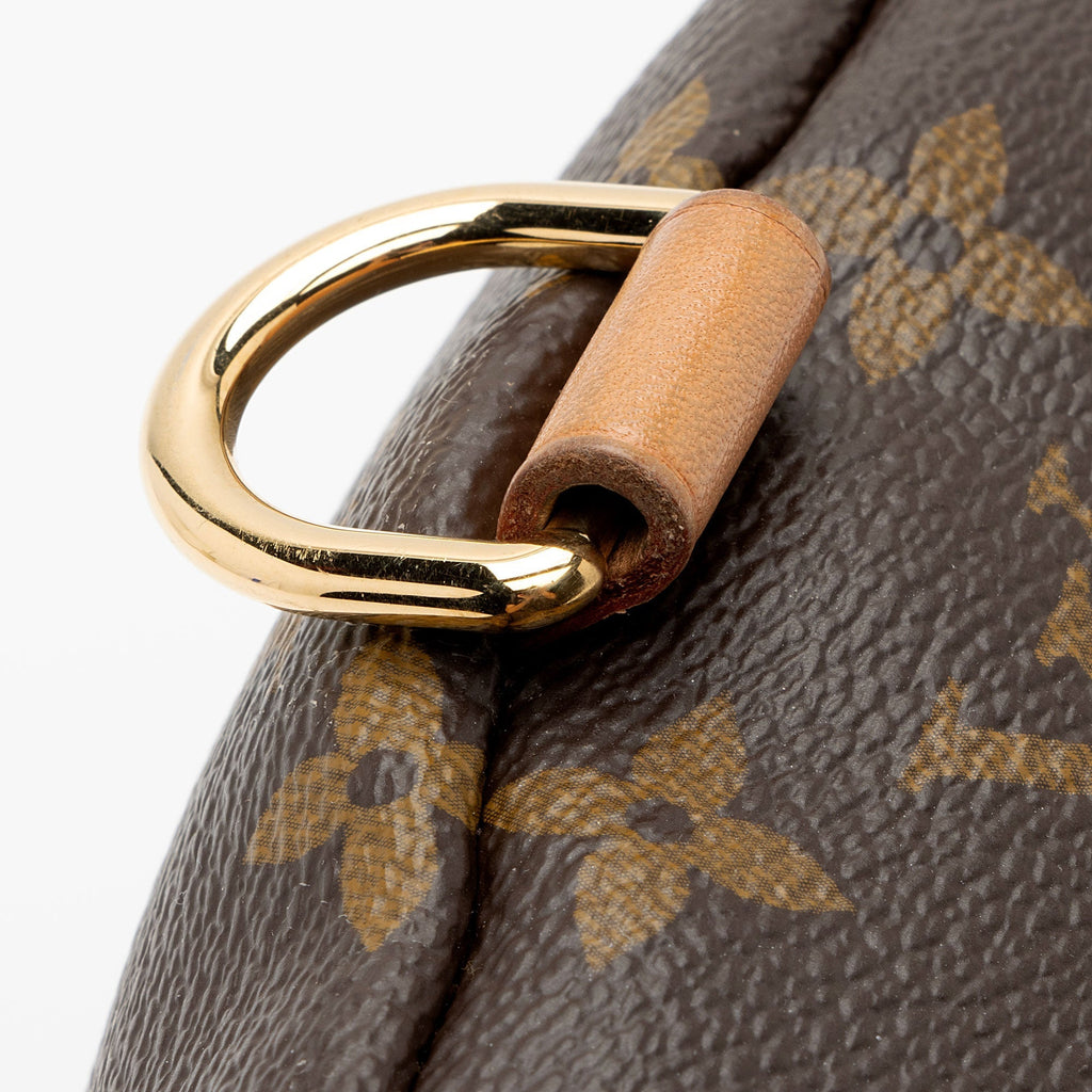 Louis Vuitton Monogram Canvas Bumbag (SHF-jnv8ax)