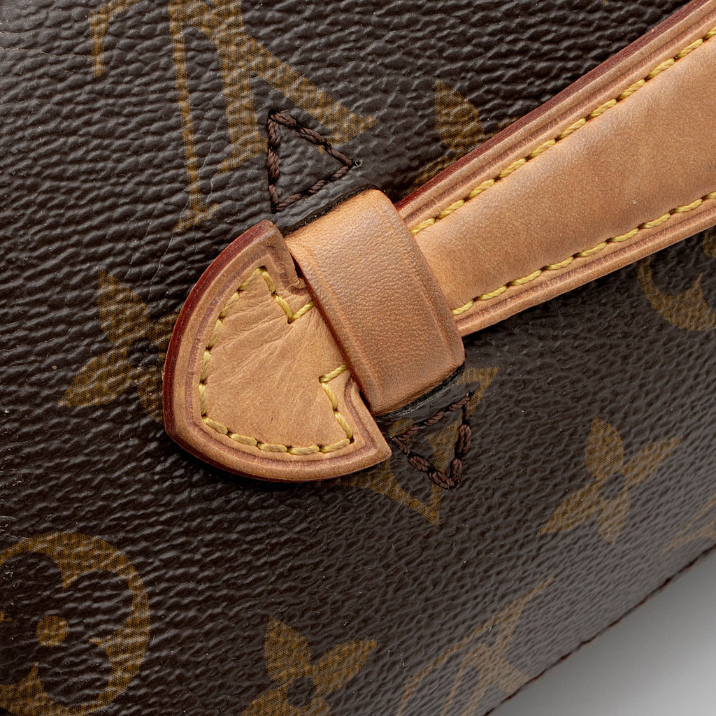 Louis Vuitton Monogram Canvas Bumbag (SHF-jnv8ax)