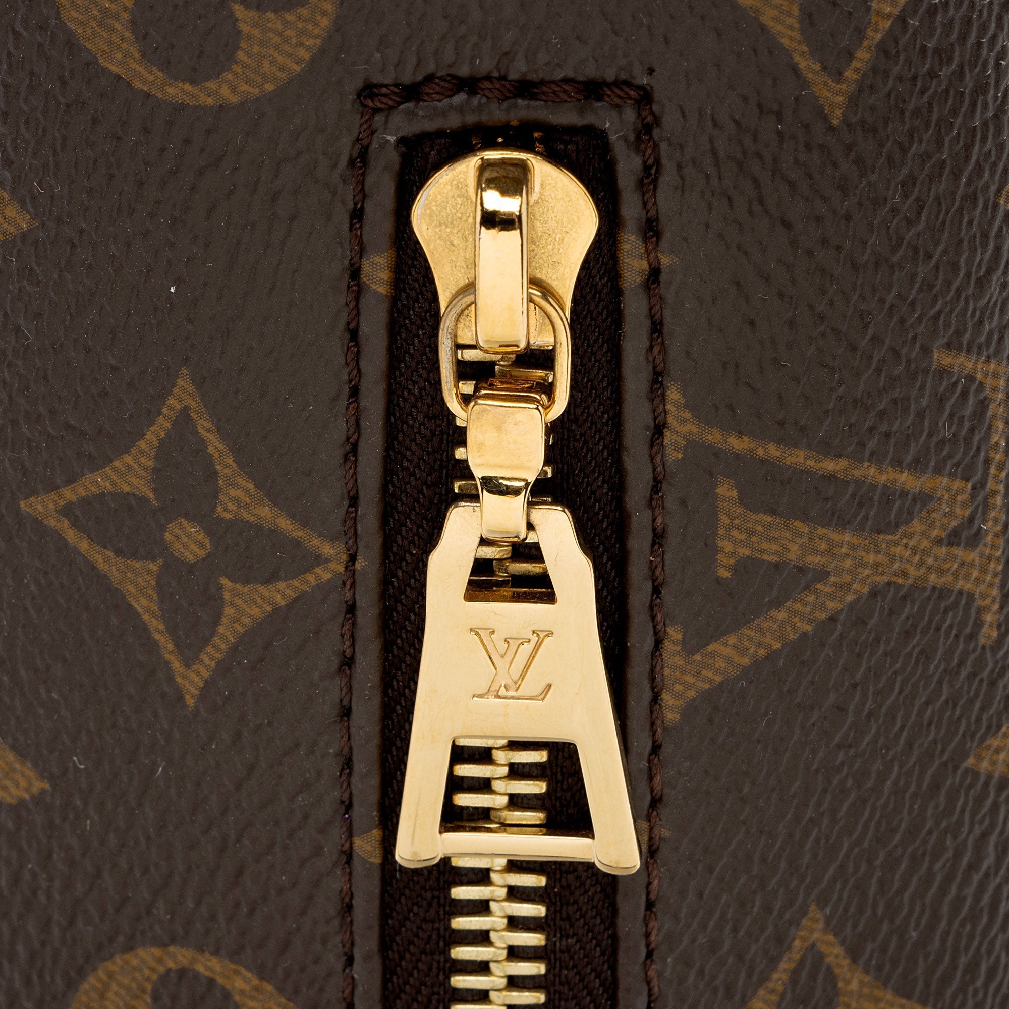Louis Vuitton Monogram Canvas Bumbag (SHF-jnv8ax)