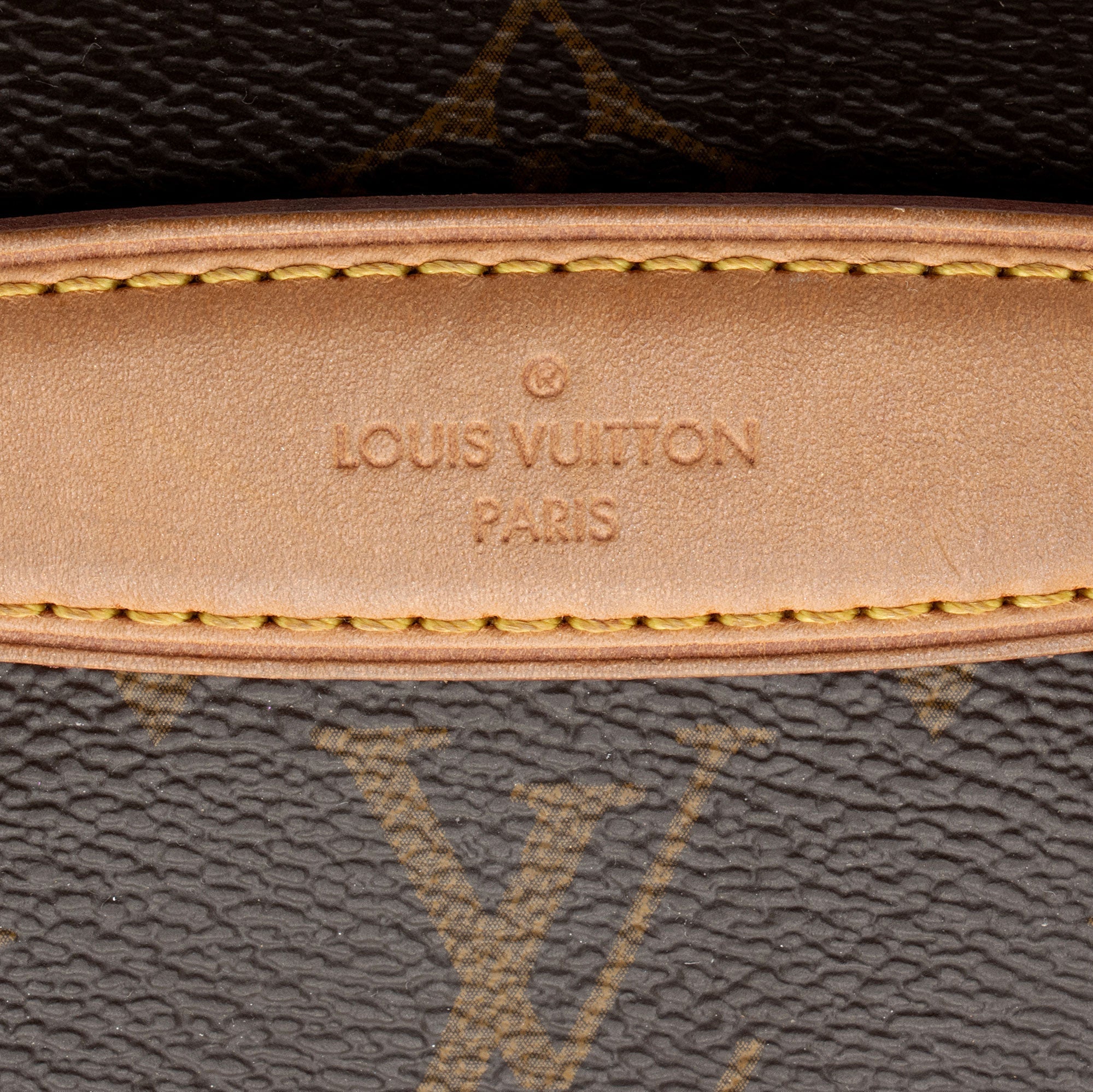 Louis Vuitton Monogram Canvas Bumbag (SHF-jnv8ax)