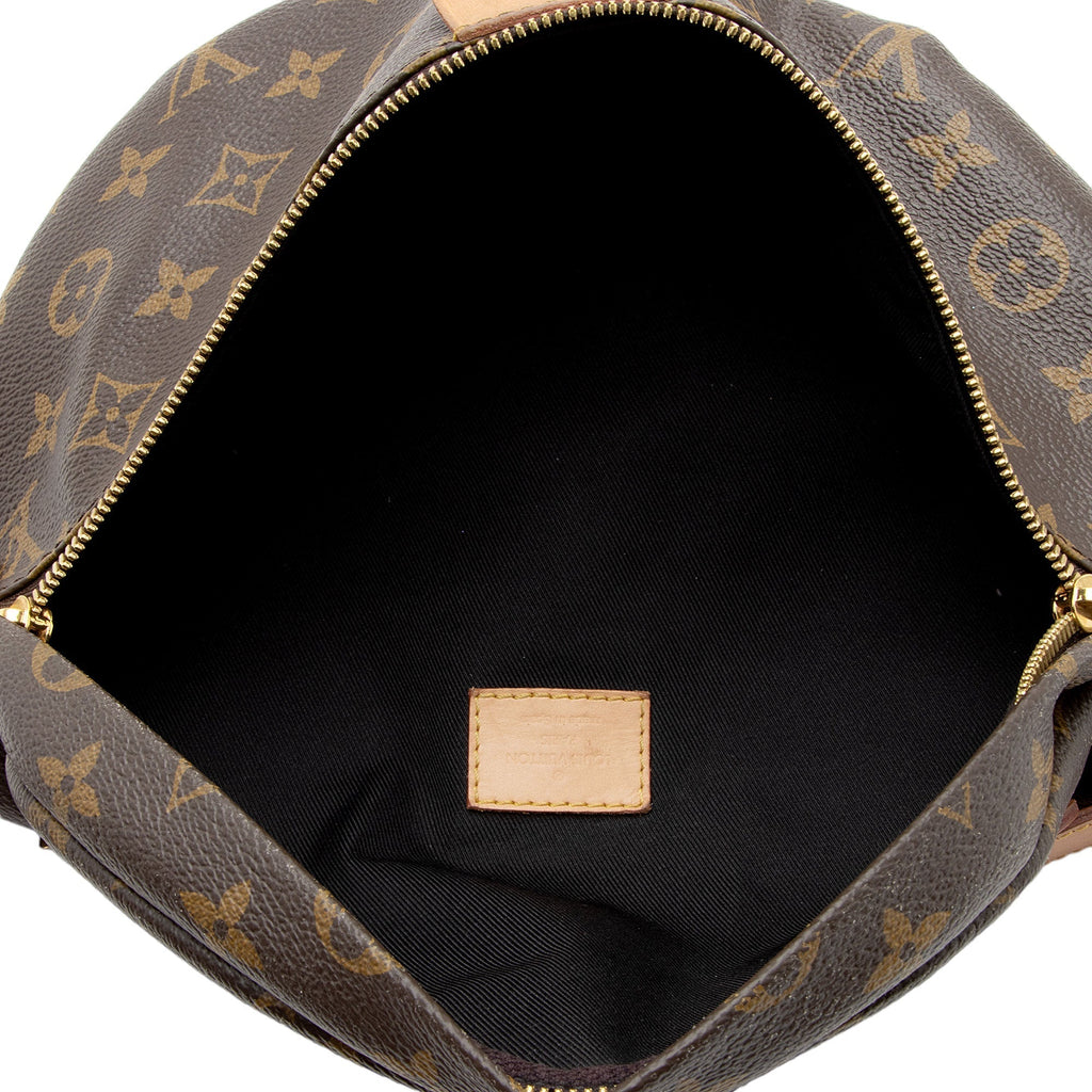 Louis Vuitton Monogram Canvas Bumbag (SHF-jnv8ax)