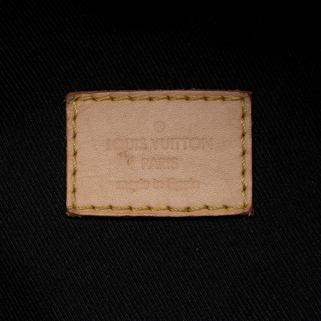 Louis Vuitton Monogram Canvas Bumbag (SHF-jnv8ax)