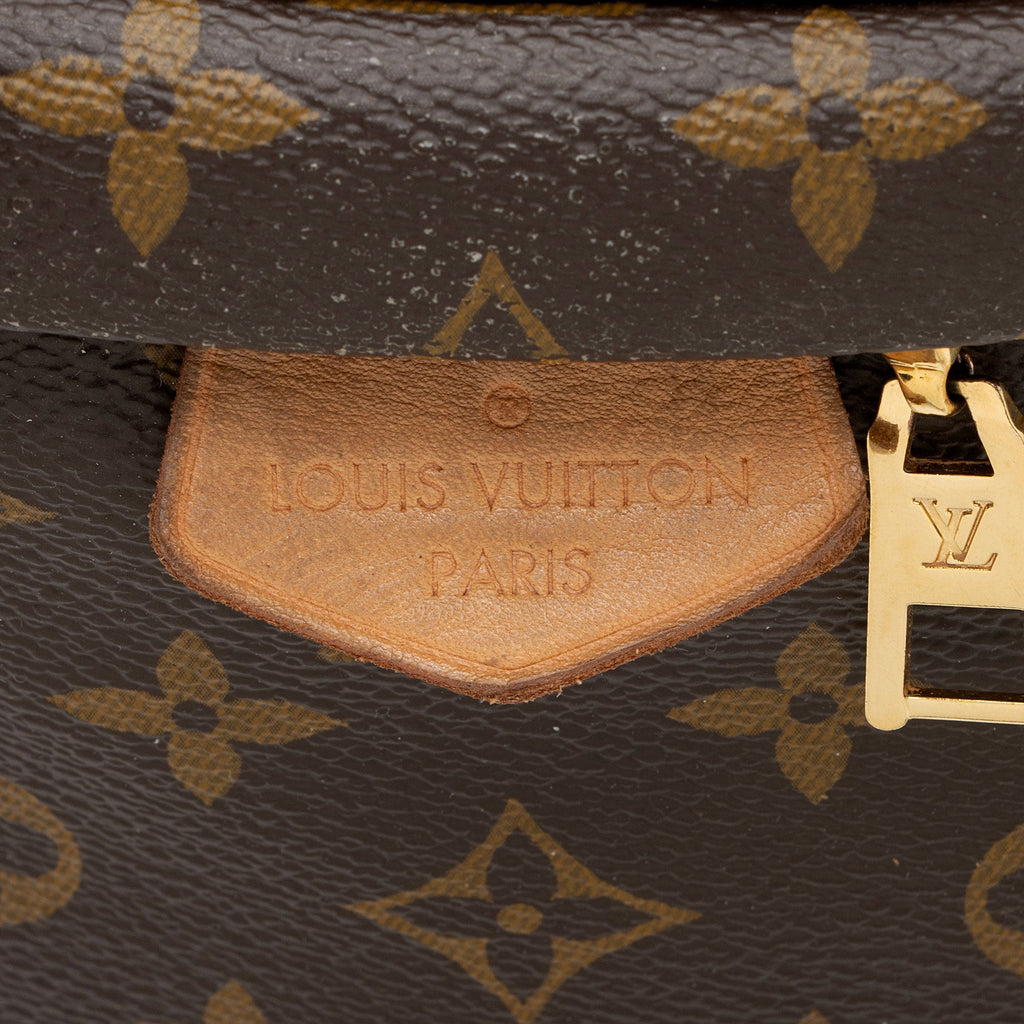 Louis Vuitton Monogram Canvas Bumbag (SHF-jnv8ax)