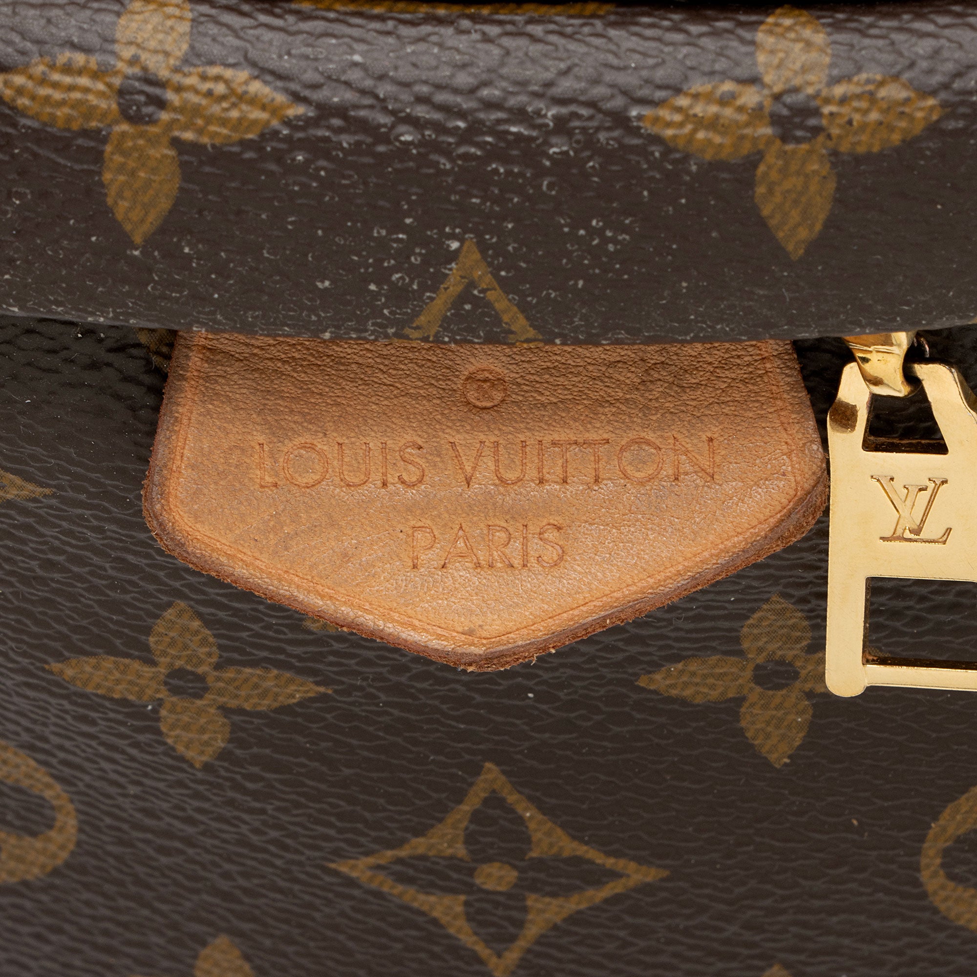 Louis Vuitton Monogram Canvas Bumbag (SHF-jnv8ax)
