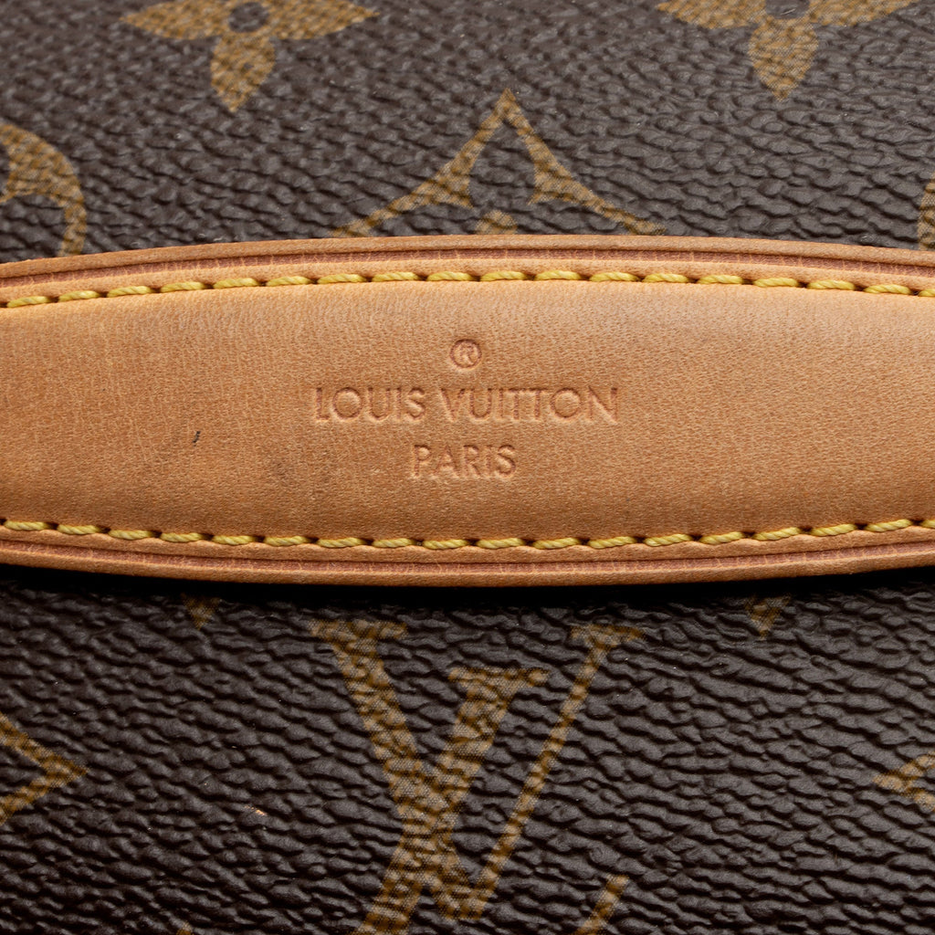 Louis Vuitton Monogram Canvas Bumbag (SHF-jJohPu)