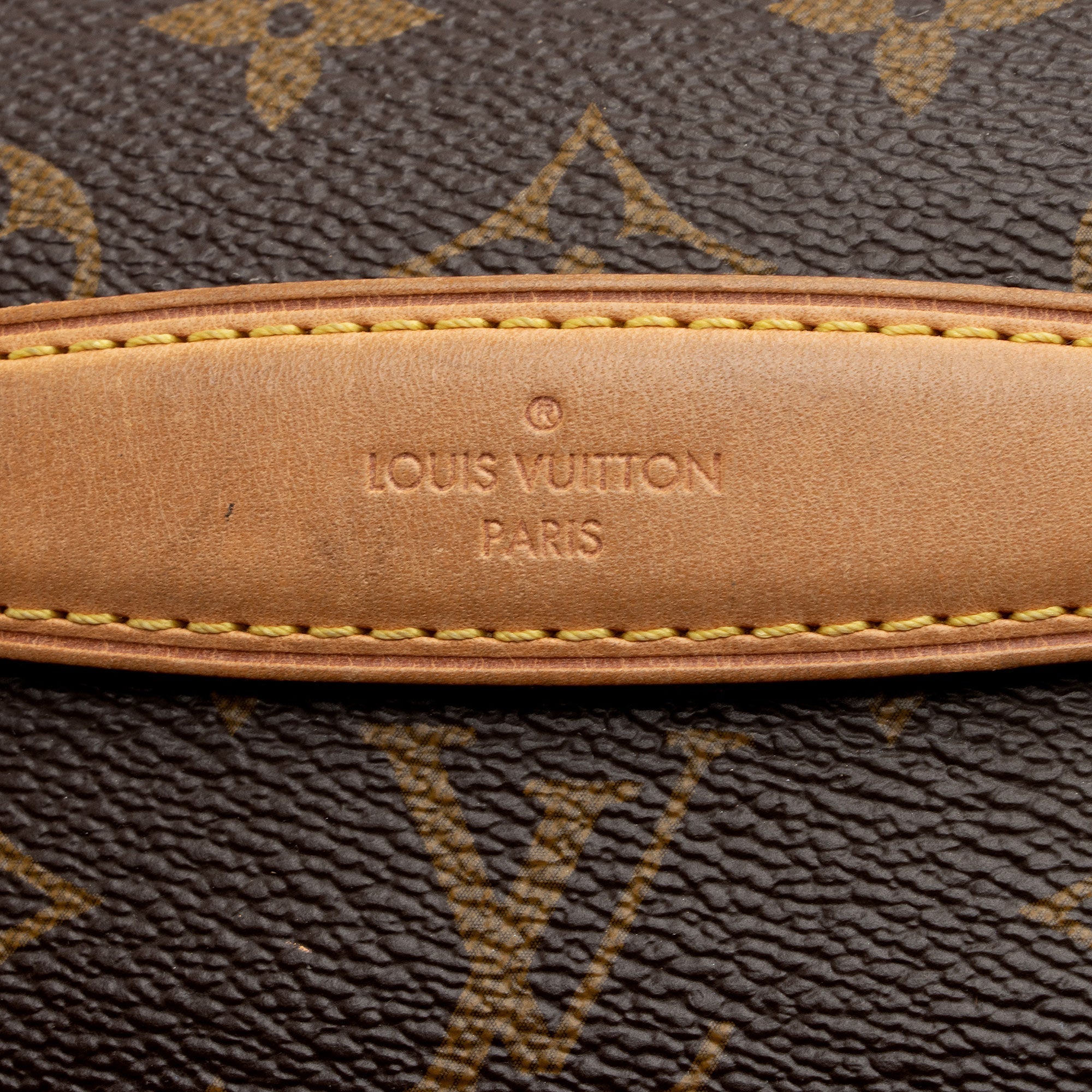 Louis Vuitton Monogram Canvas Bumbag (SHF-jJohPu)