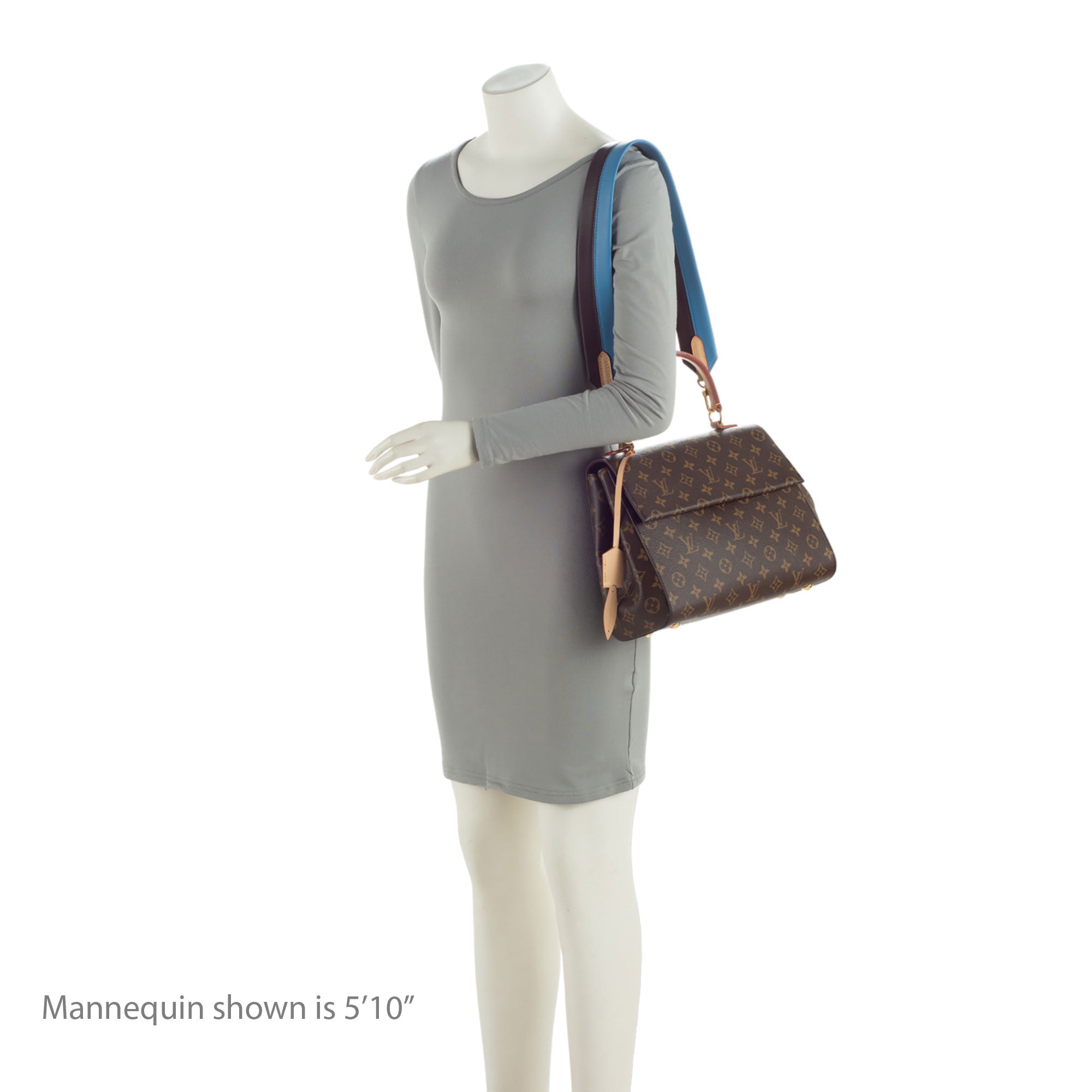 Louis Vuitton Monogram Canvas Cluny MM Satchel (SHF-ARhNa5)