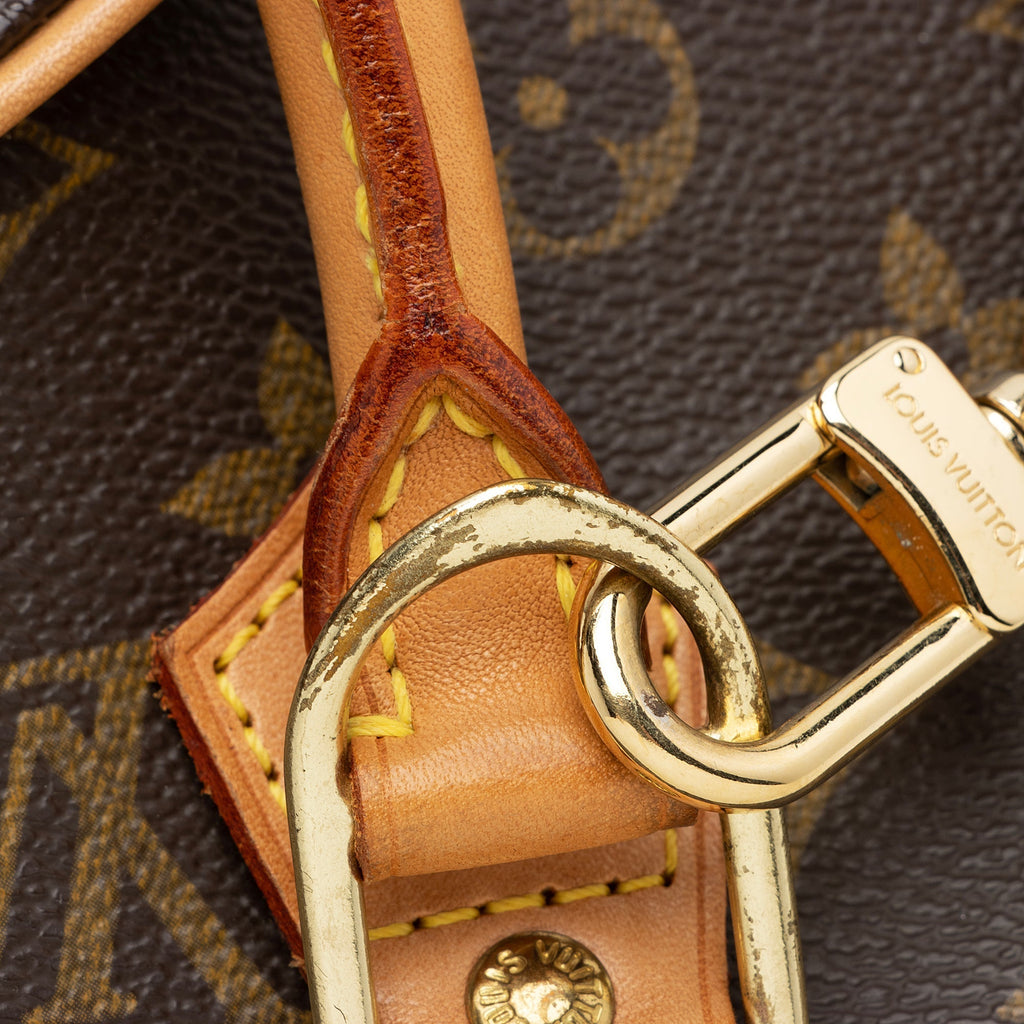 Louis Vuitton Monogram Canvas Ellipse MM Satchel (SHF-22702)
