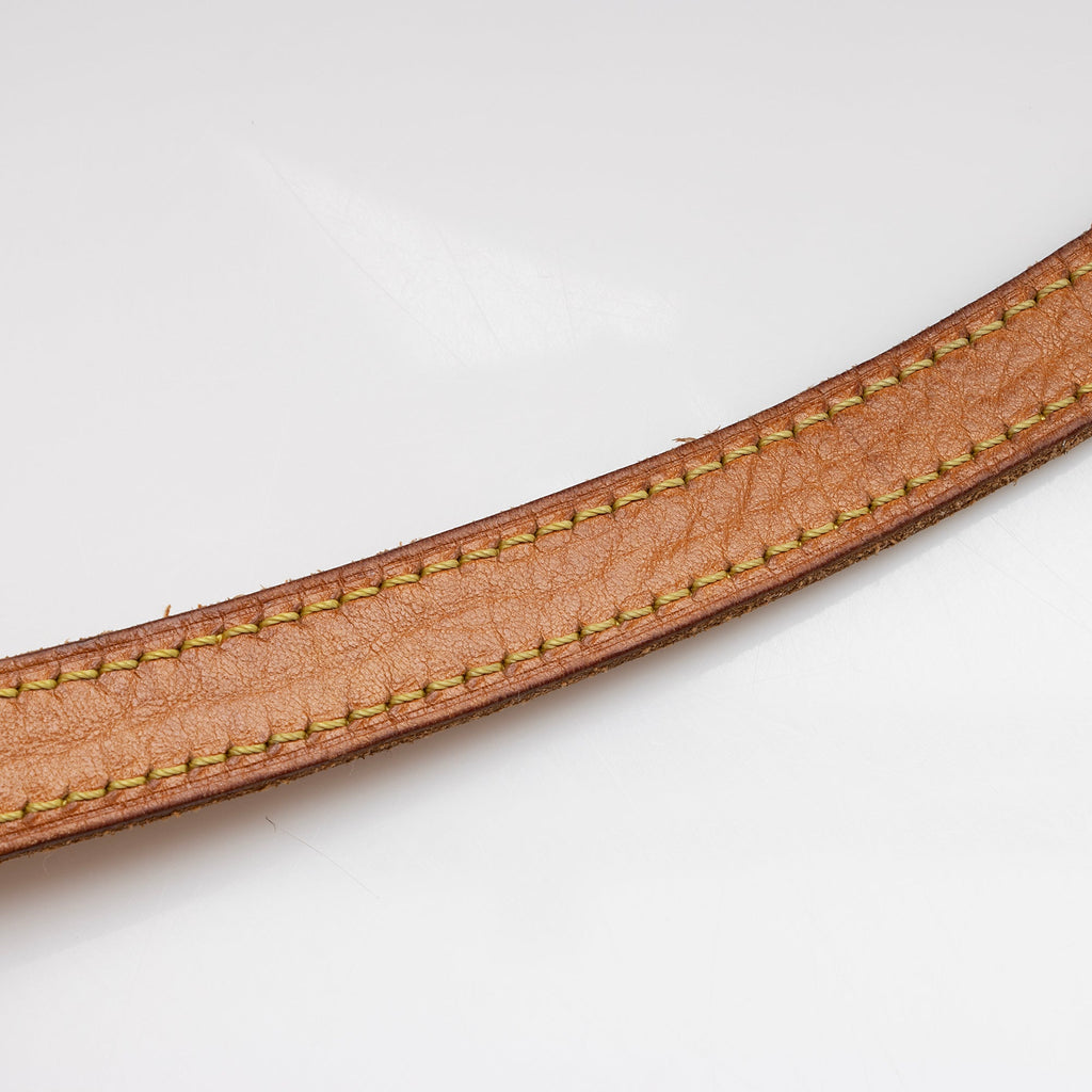 Louis Vuitton Monogram Canvas Ellipse MM Satchel (SHF-22702)