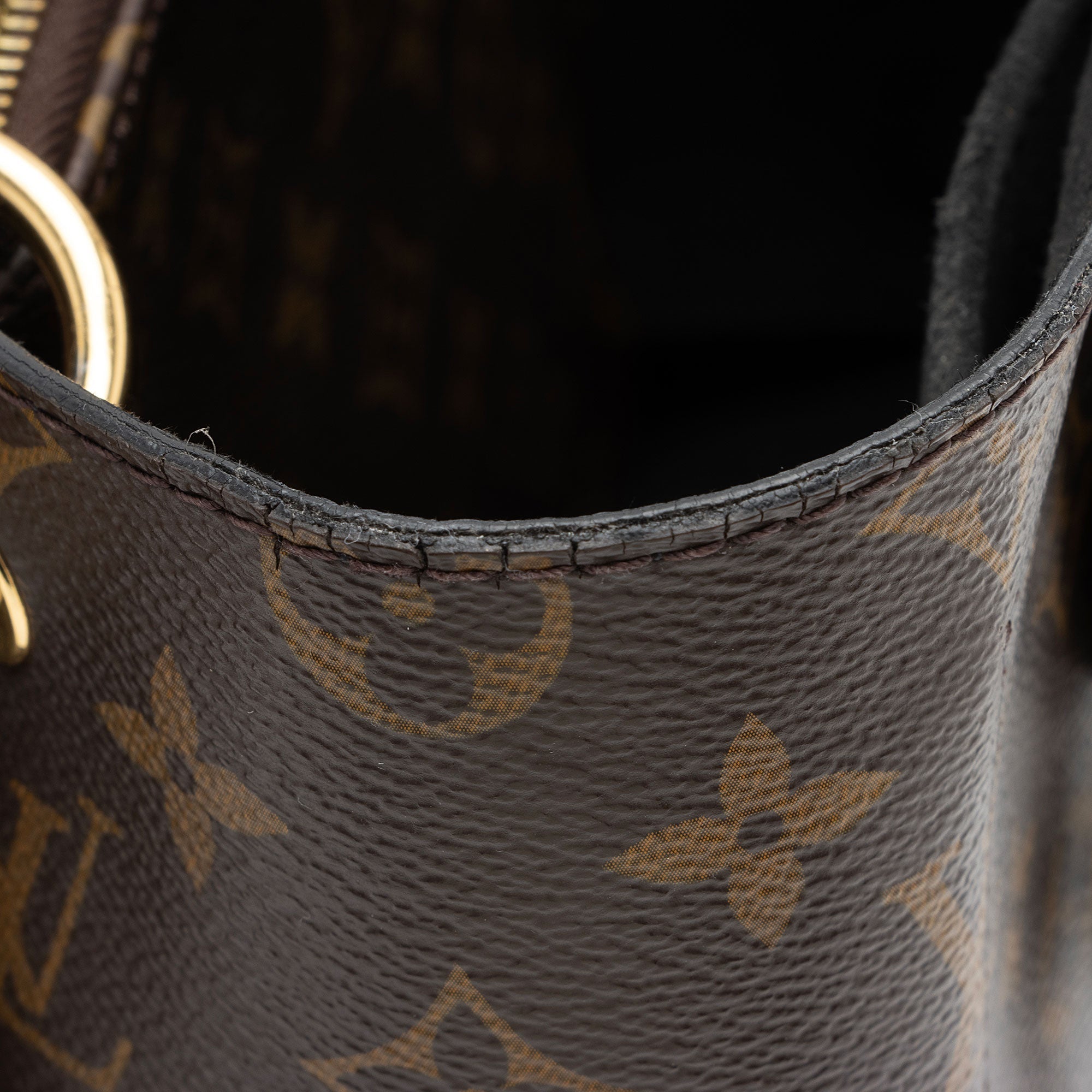 Louis Vuitton Monogram Canvas Flower Tote (SHF-peQLcU)