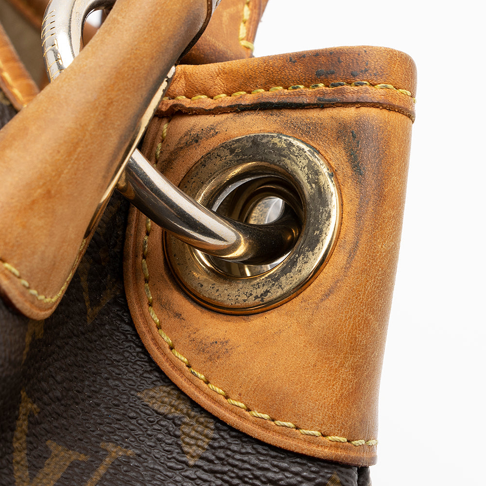Louis Vuitton Monogram Canvas Galliera PM Shoulder Bag (SHF-20257)