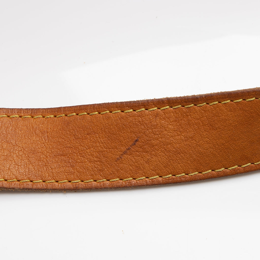 Louis Vuitton Monogram Canvas Galliera PM Shoulder Bag (SHF-1cPcHy)