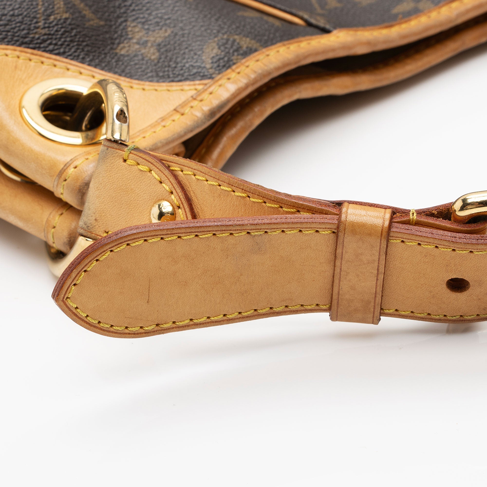 Louis Vuitton Monogram Canvas Galliera PM Shoulder Bag (SHF-SkY7u5)