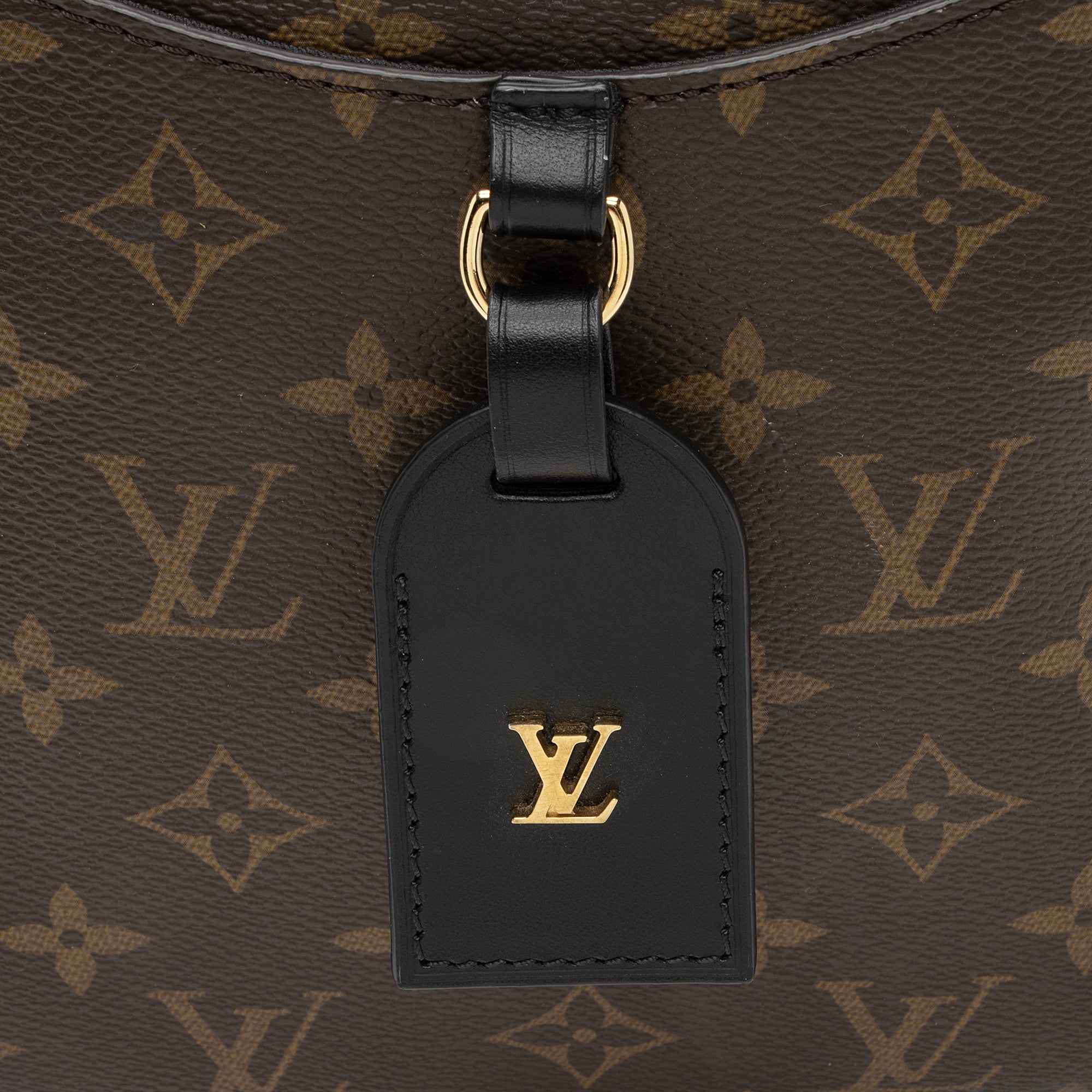 Louis Vuitton Monogram Canvas Odeon PM NM Shoulder Bag (SHF-bXwoS9)