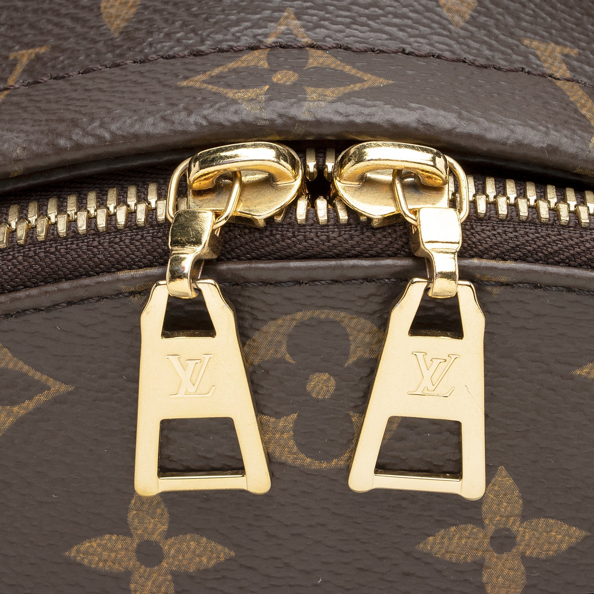 Louis Vuitton Monogram Canvas Palm Springs MM Backpack (SHF-22319)