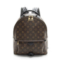 Louis Vuitton Monogram Canvas Palm Springs MM Backpack (SHF-22319)